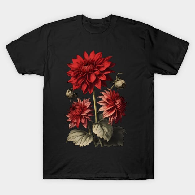 Red Dahlia Flowers Vintage Botanical Illustration T-Shirt by craftydesigns